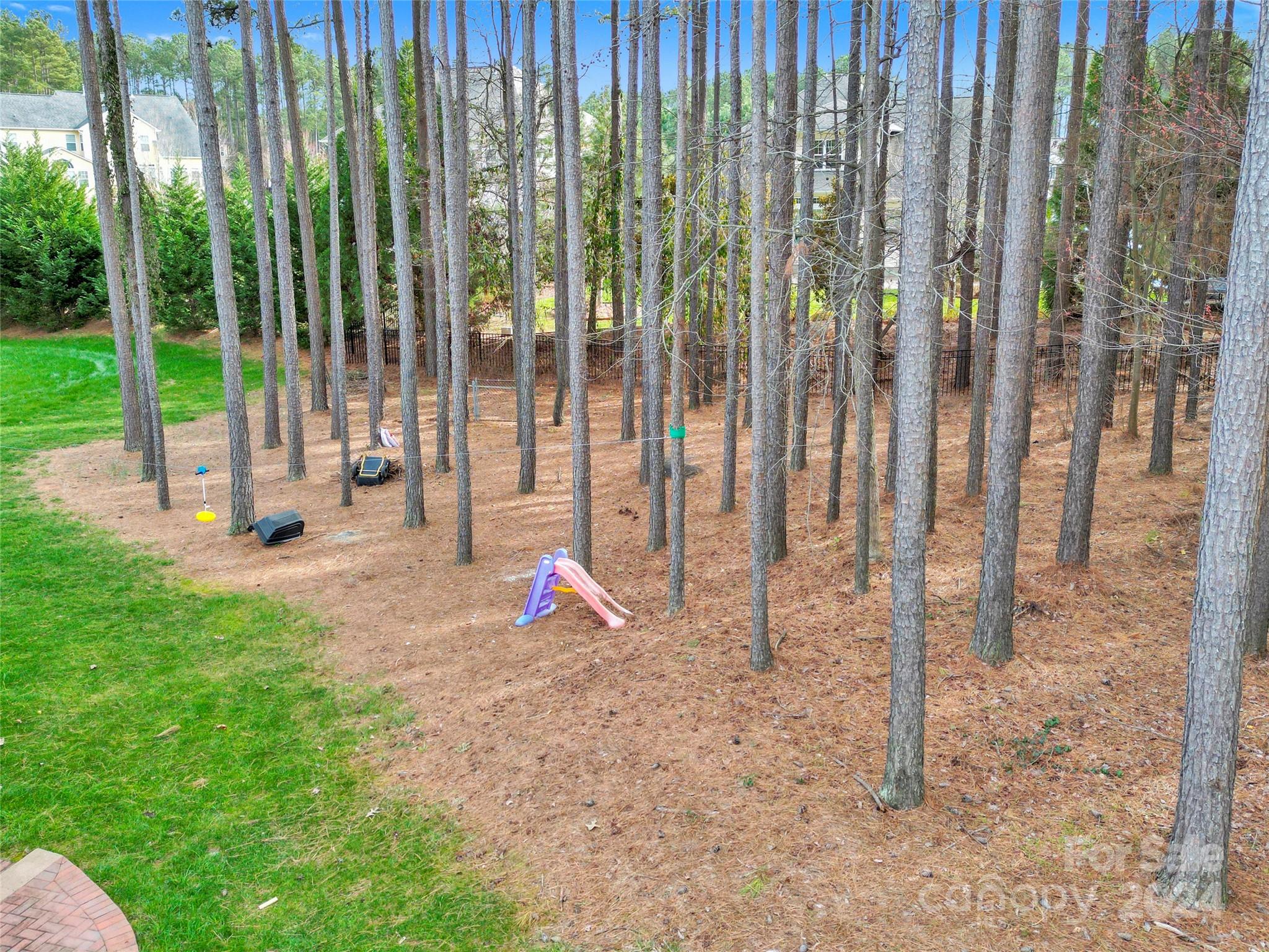 MLS #CAR4115051 image #4