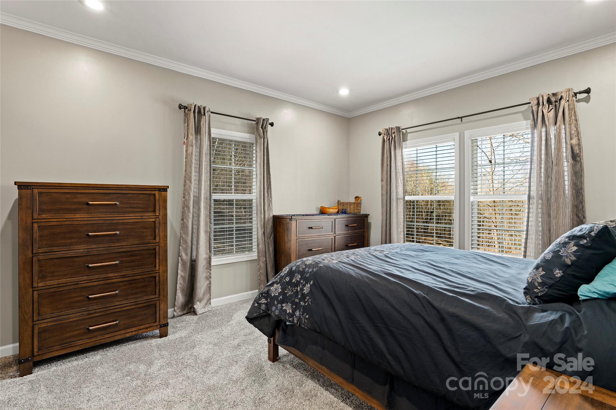 MLS #CAR4116504 image #19