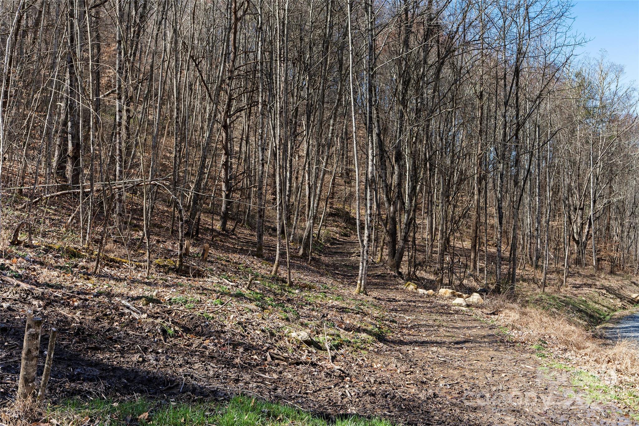 MLS #CAR4116504 image #2