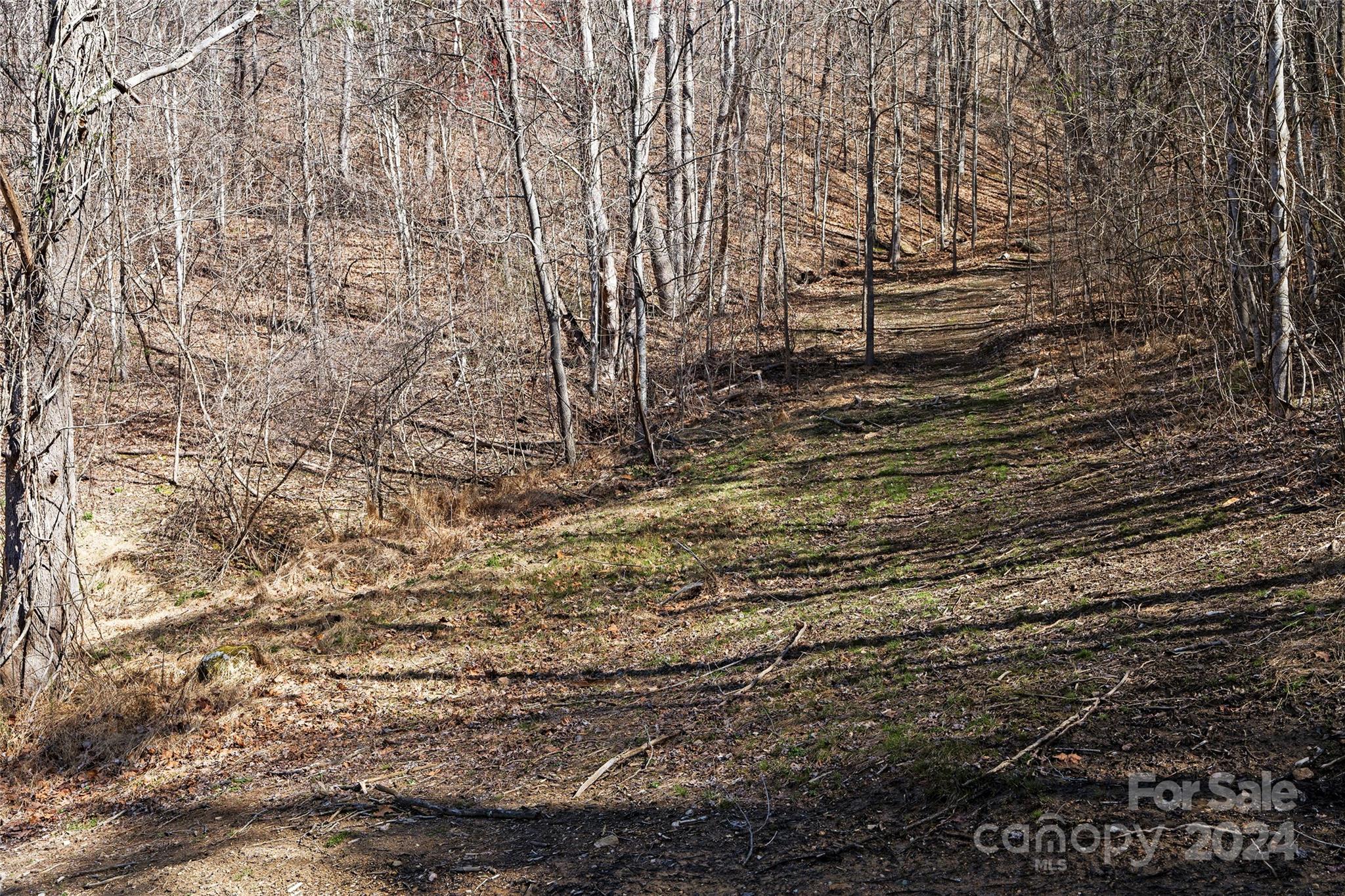 MLS #CAR4116504 image #3