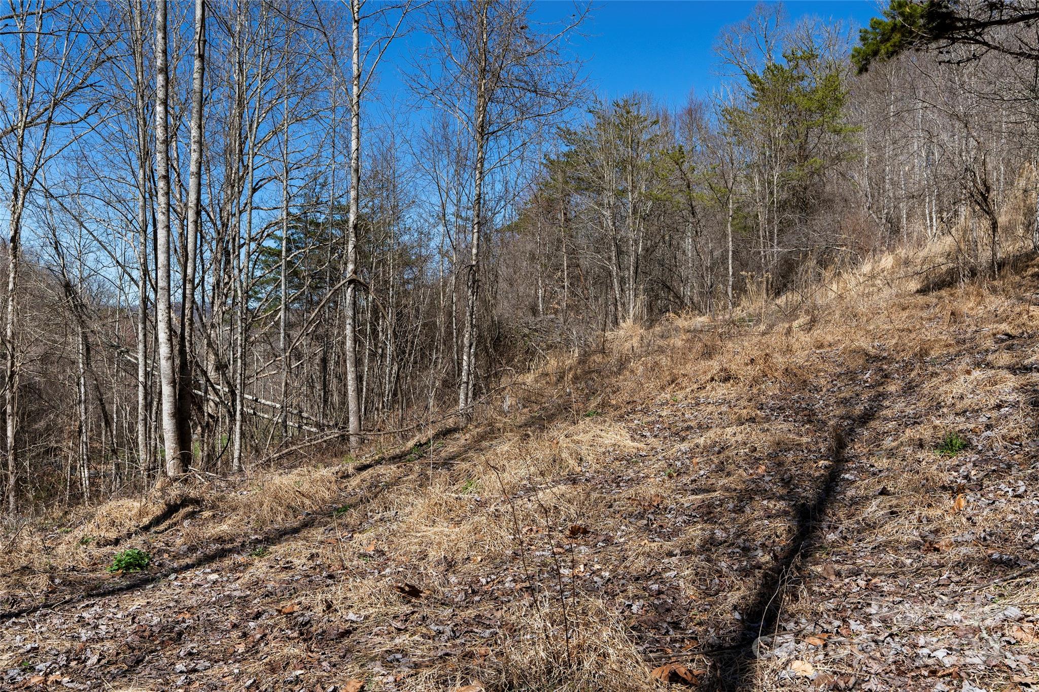 MLS #CAR4116504 image #35