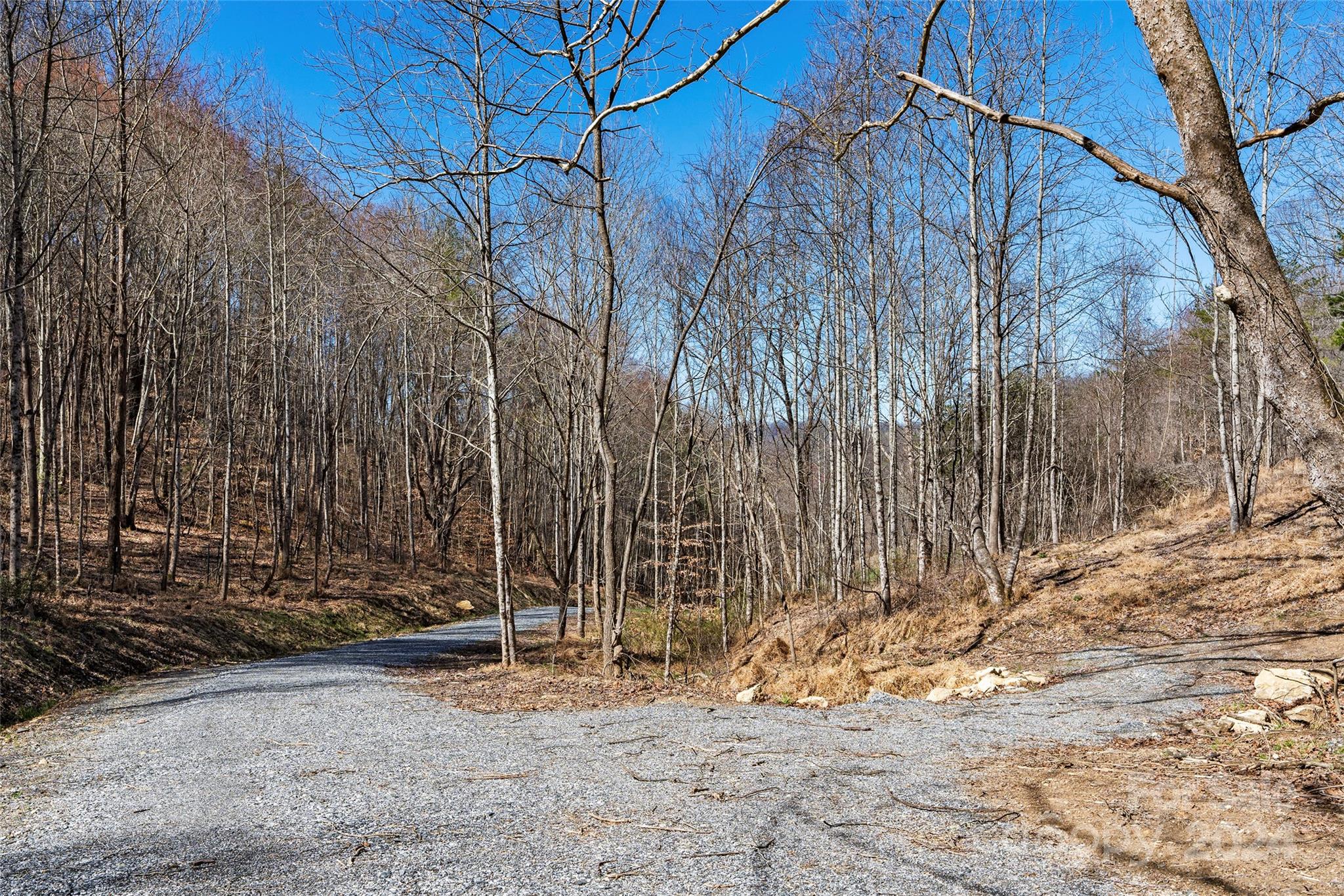 MLS #CAR4116504 image #36