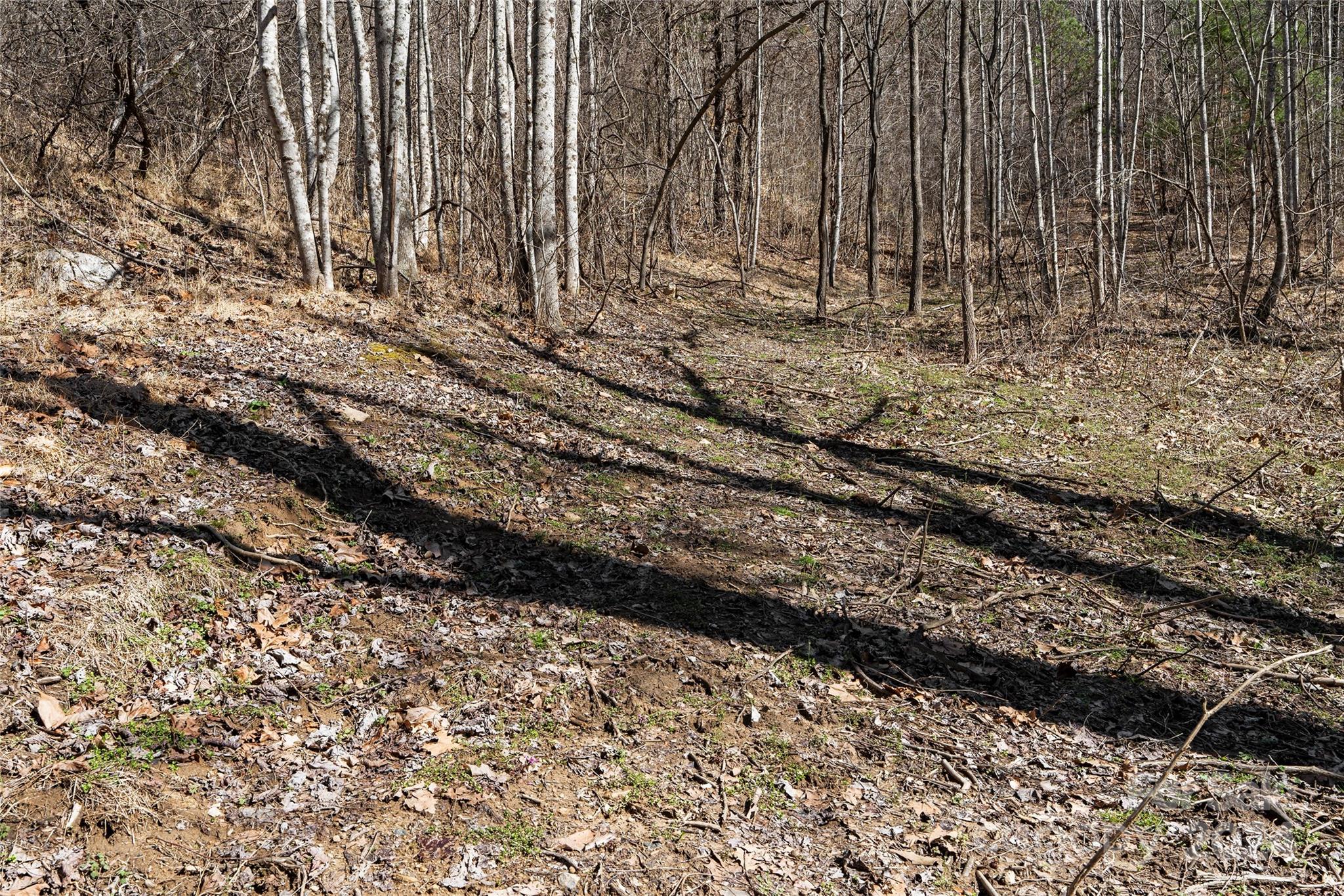 MLS #CAR4116504 image #37