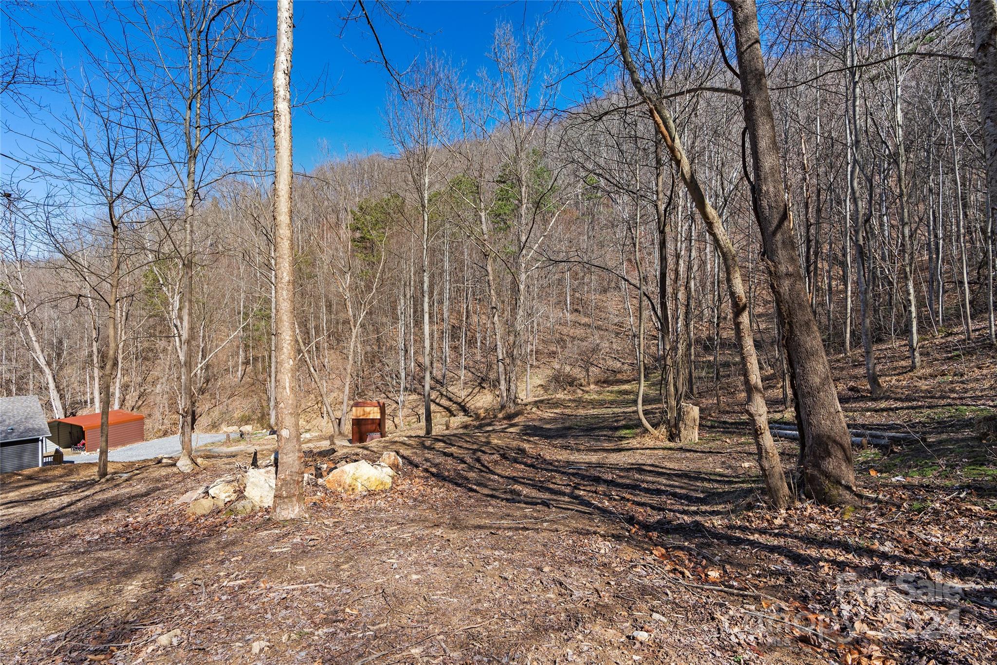 MLS #CAR4116504 image #39