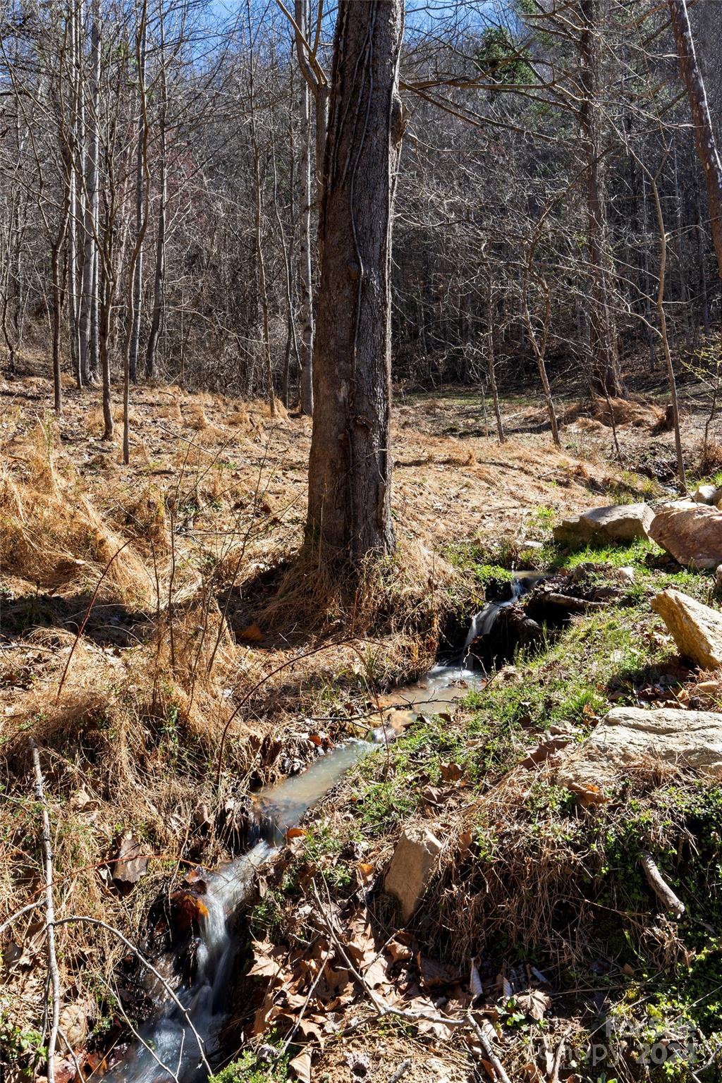 MLS #CAR4116504 image #4