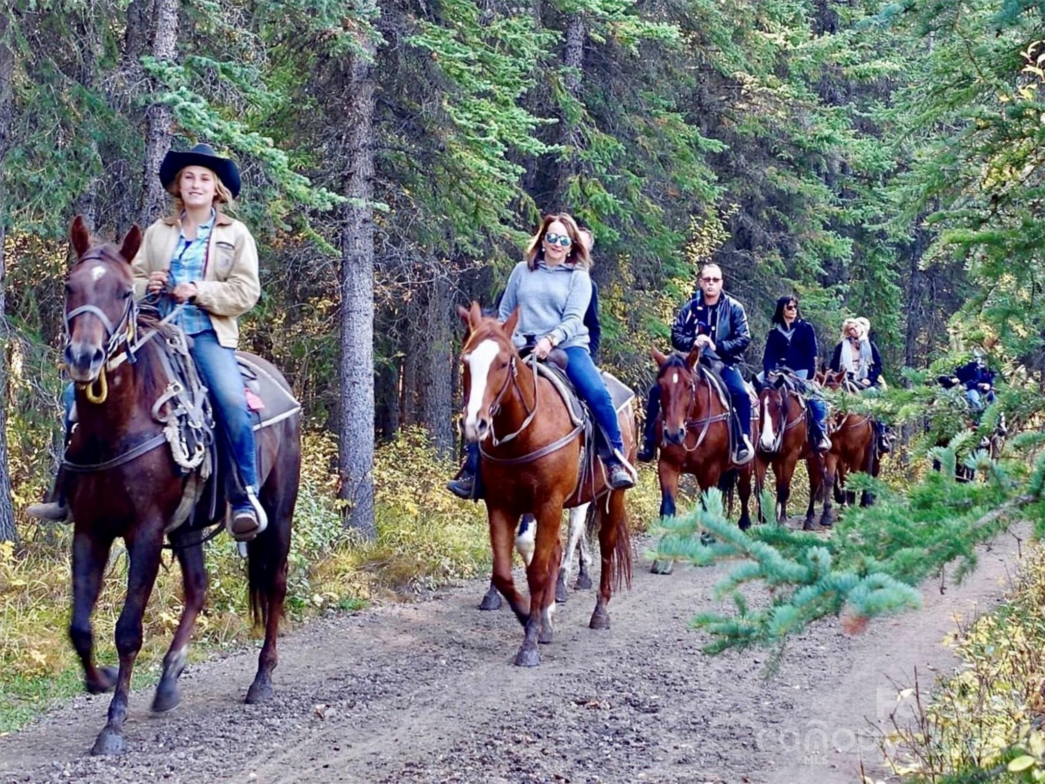 MLS #CAR4226040 image #31