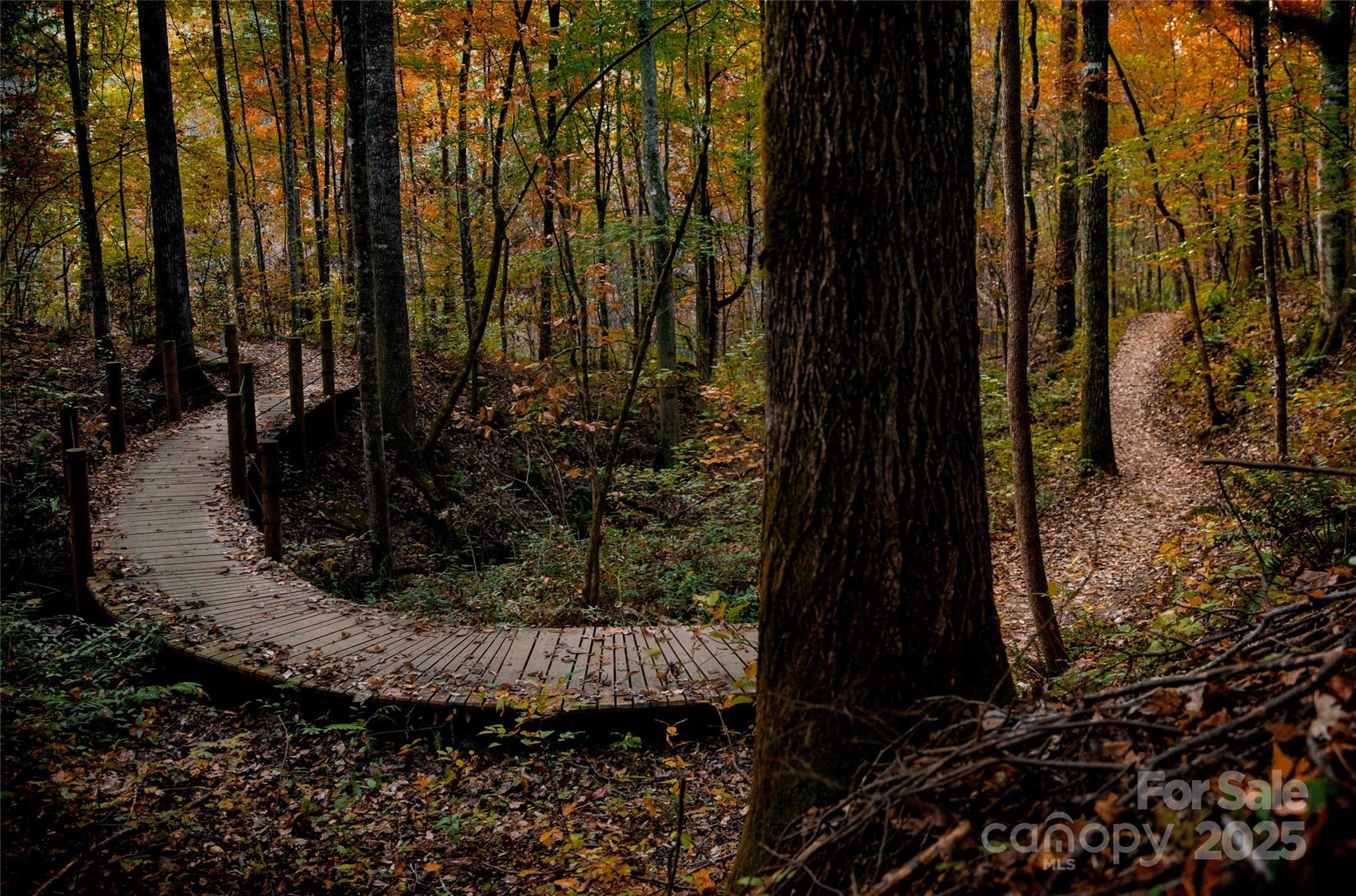 MLS #CAR4226040 image #43