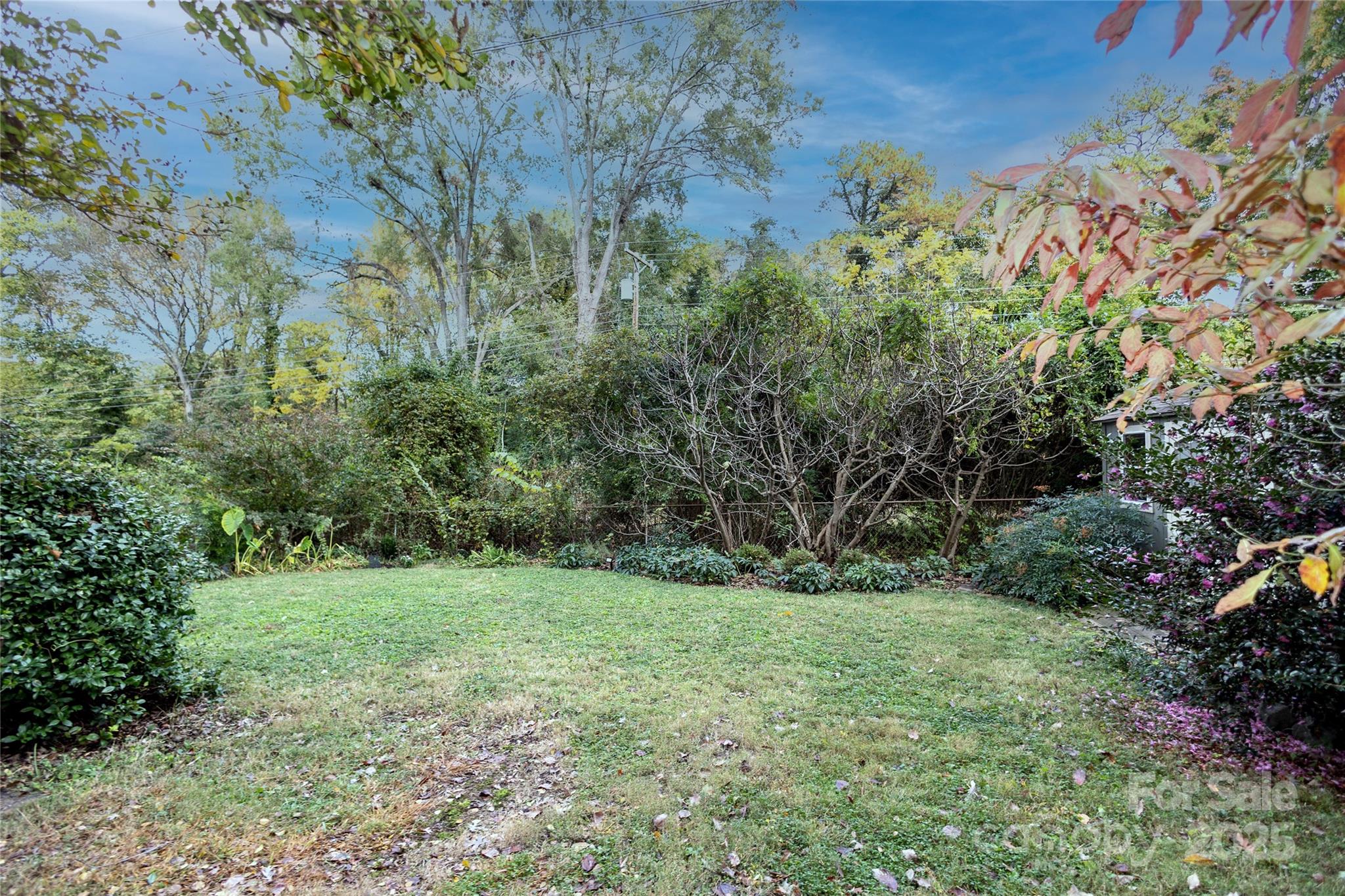 MLS #CAR4317236 image #32