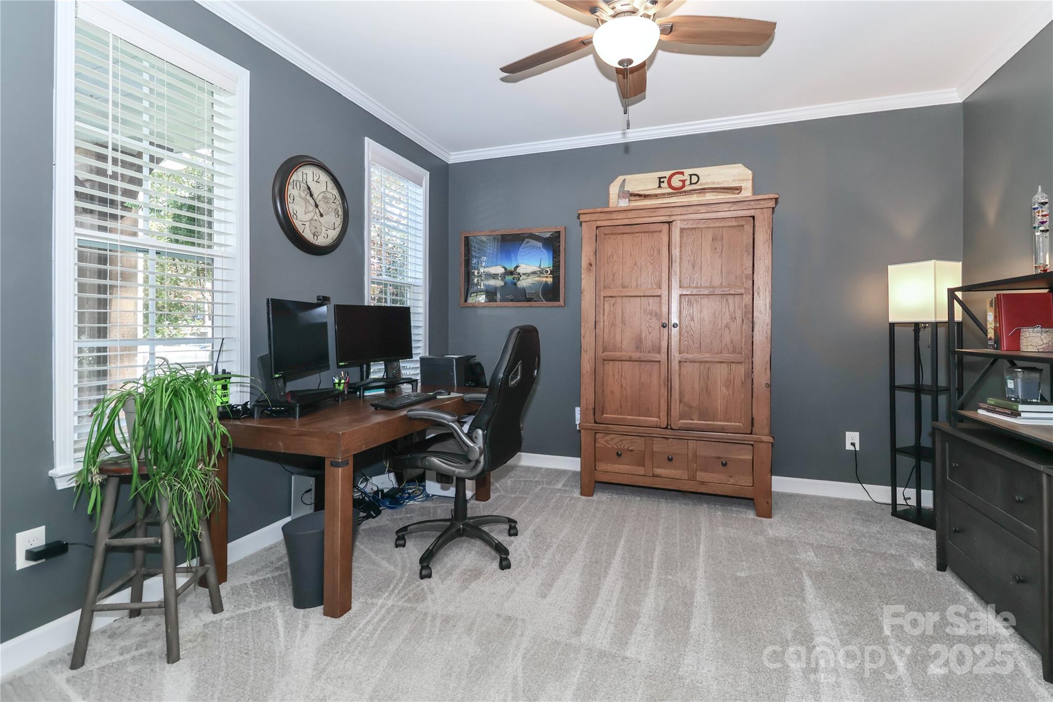 MLS #CAR4318836 image #10