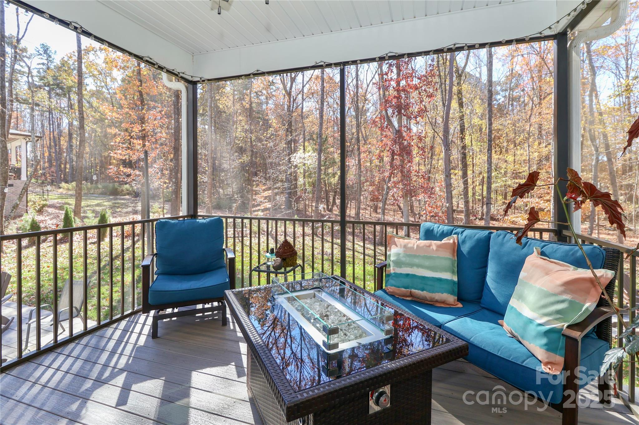 MLS #CAR4318836 image #37