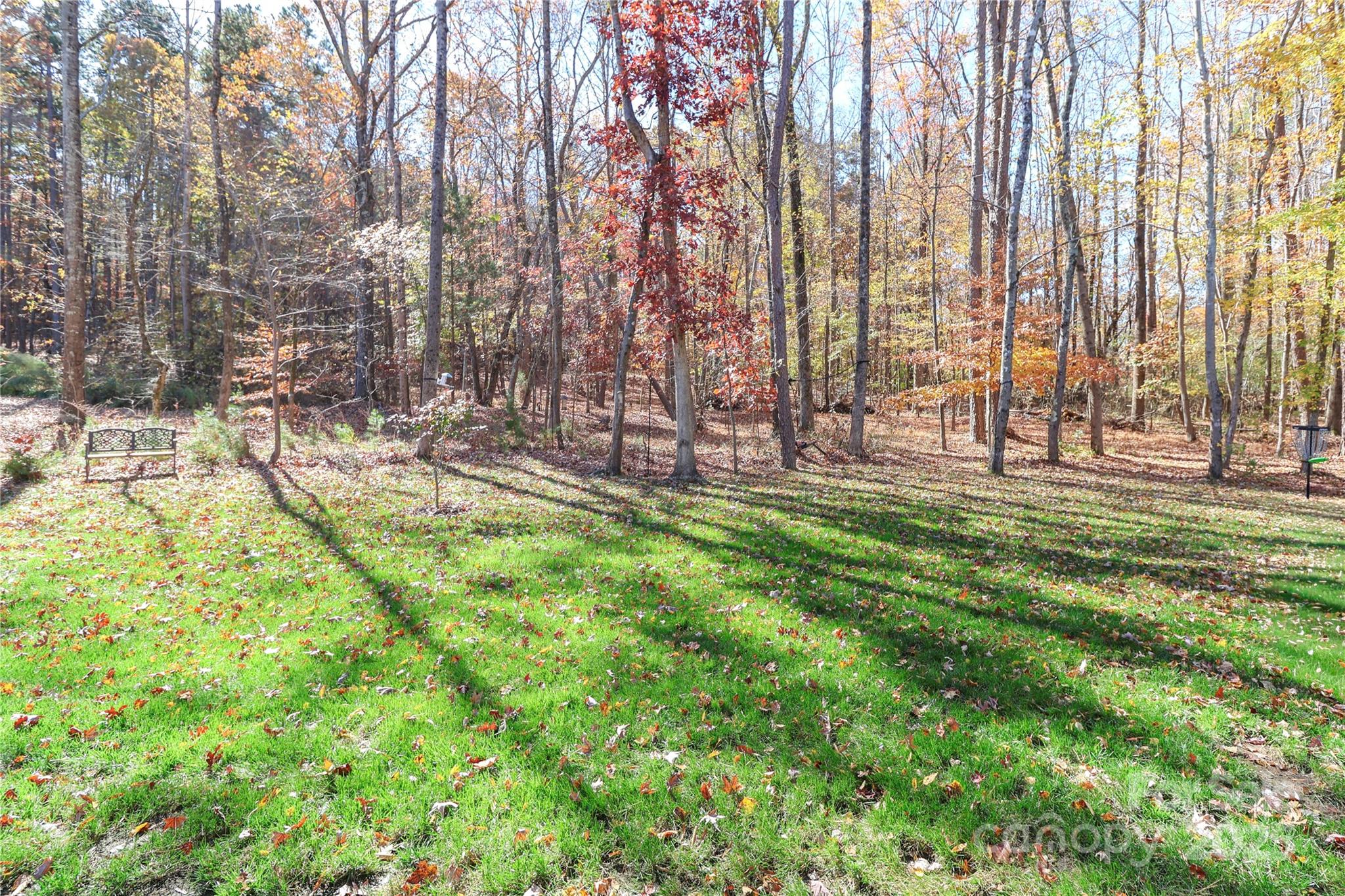 MLS #CAR4318836 image #47