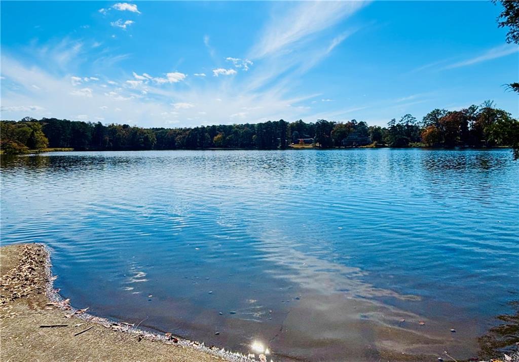 MLS #7675407 image #6