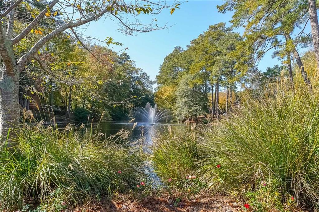 MLS #7676483 image #38