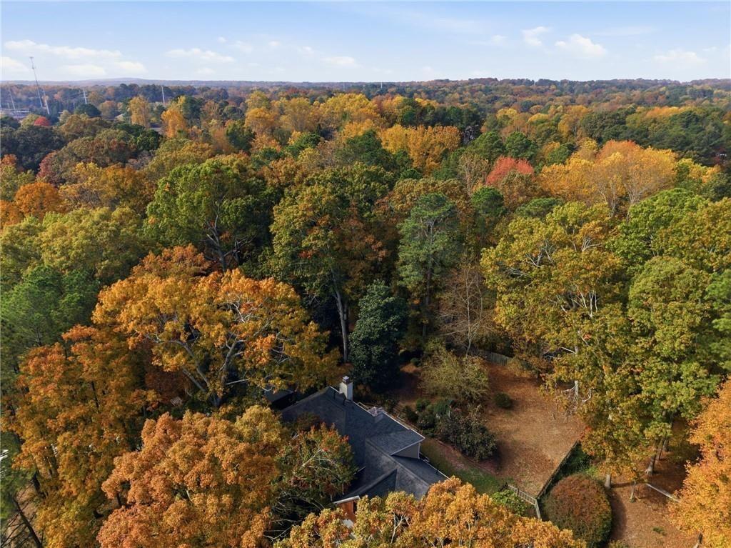 MLS #7677447 image #29