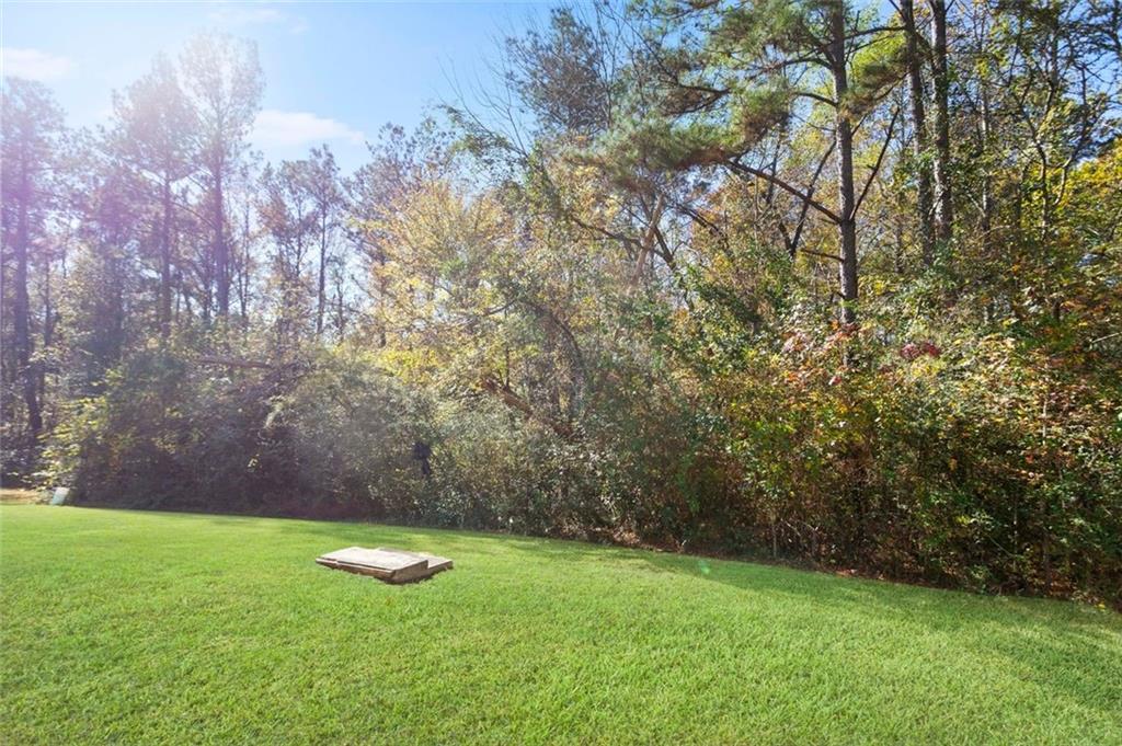 MLS #7678499 image #6