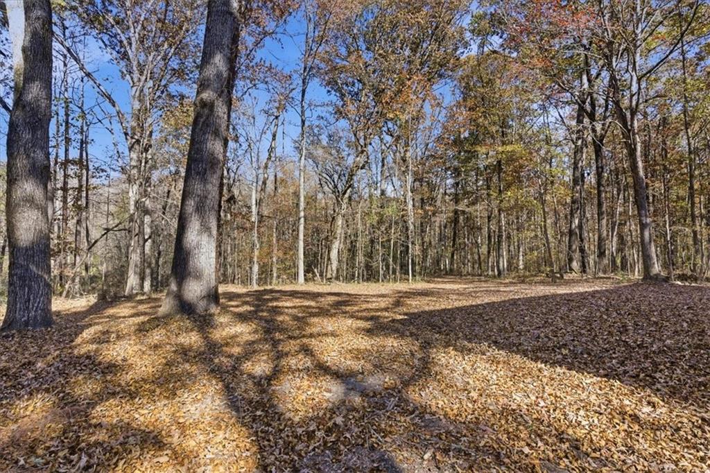 MLS #7679666 image #39