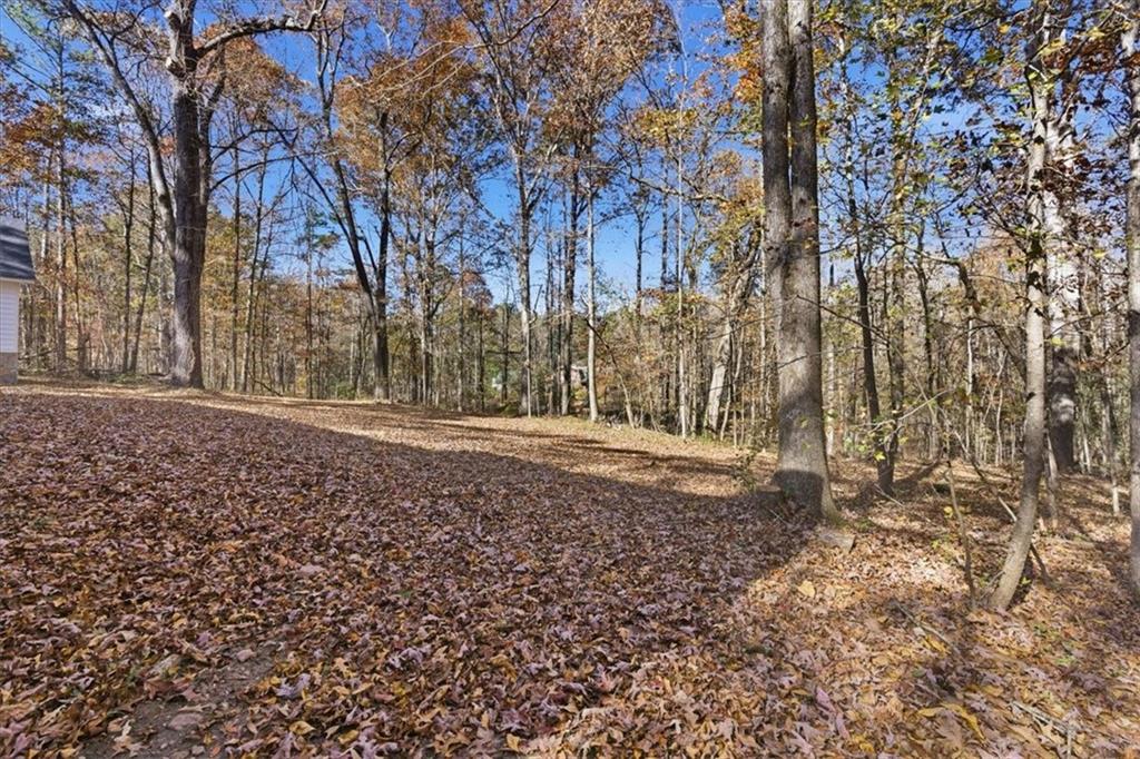 MLS #7679666 image #43