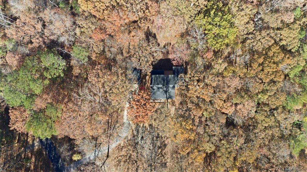 MLS #7679666 image #46