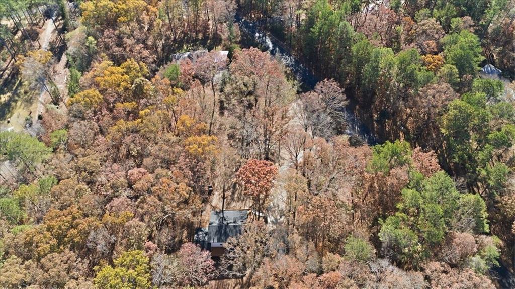 MLS #7679666 image #47