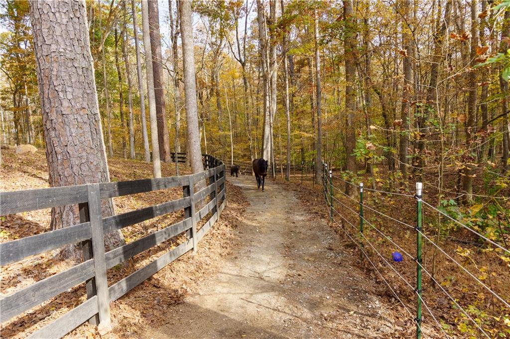 MLS #7683756 image #54