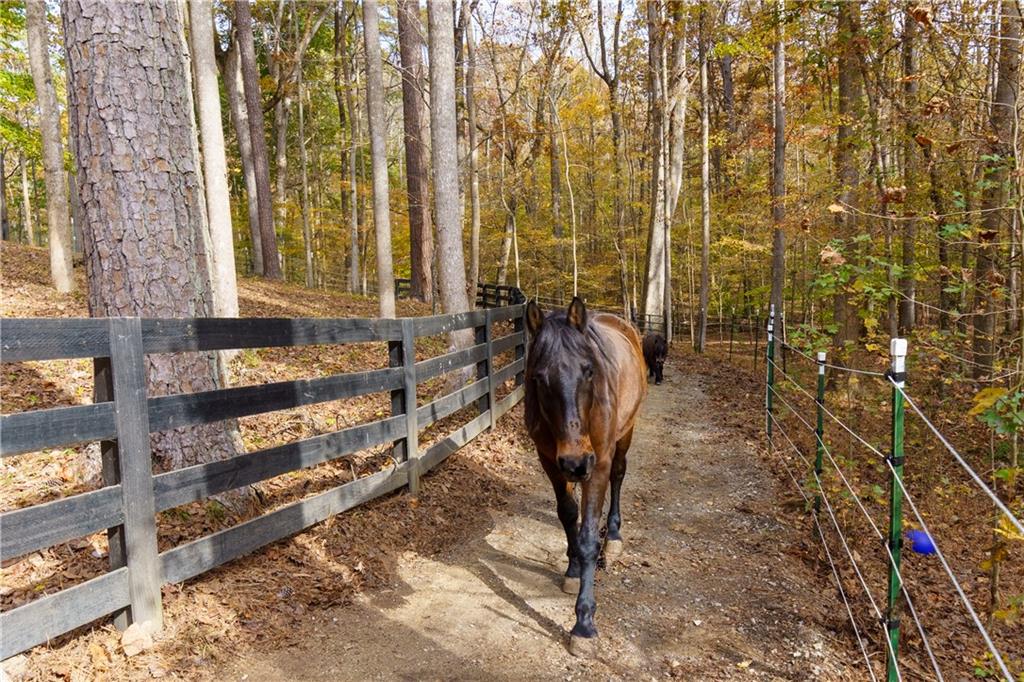 MLS #7683756 image #55