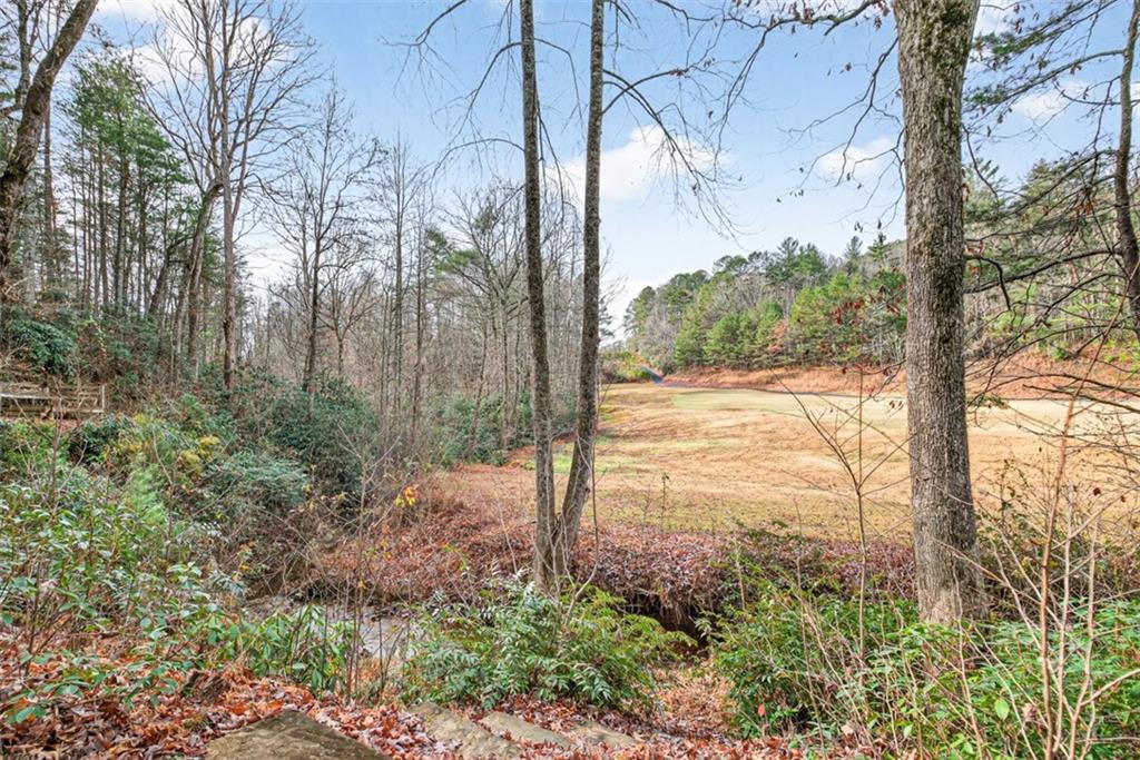 MLS #7683847 image #89