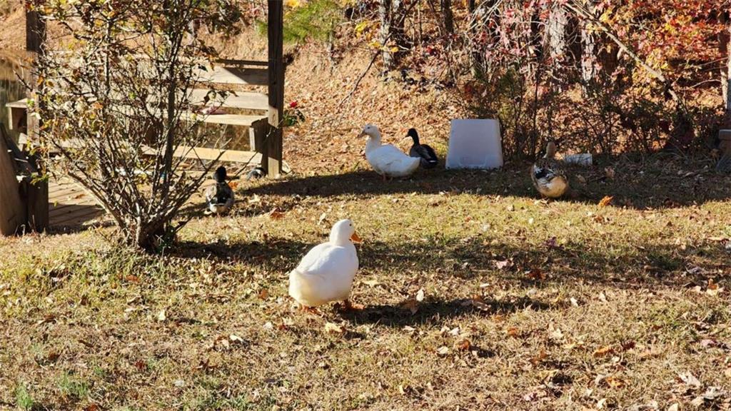 MLS #7684374 image #5