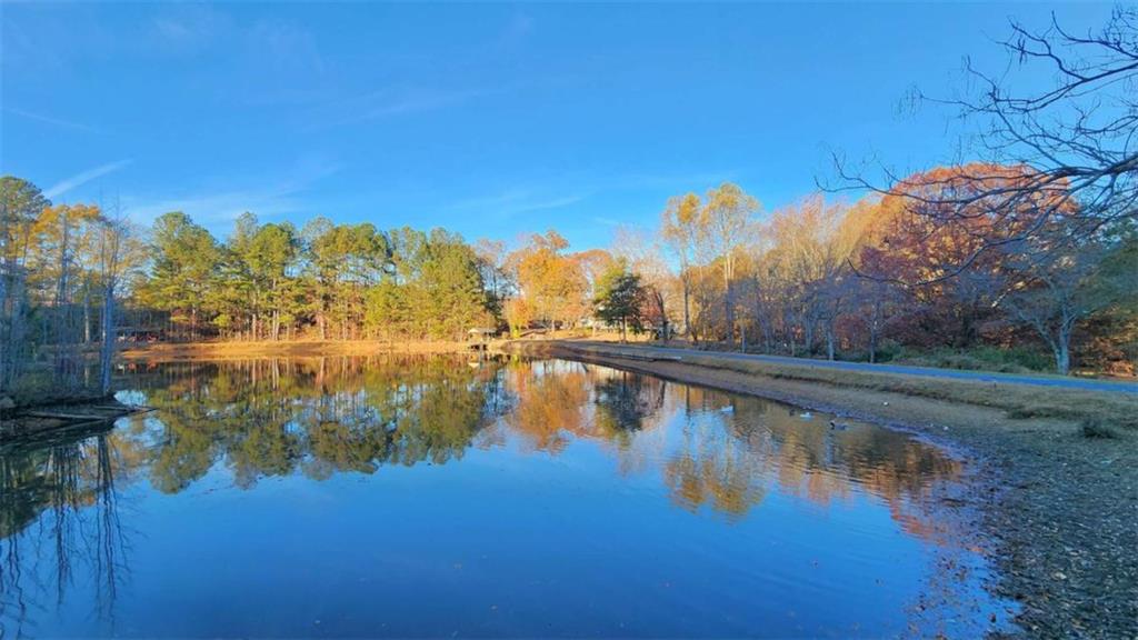 MLS #7684374 image #58