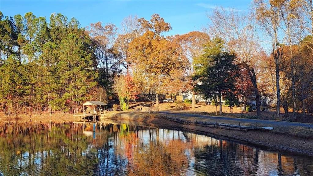 MLS #7684374 image #59