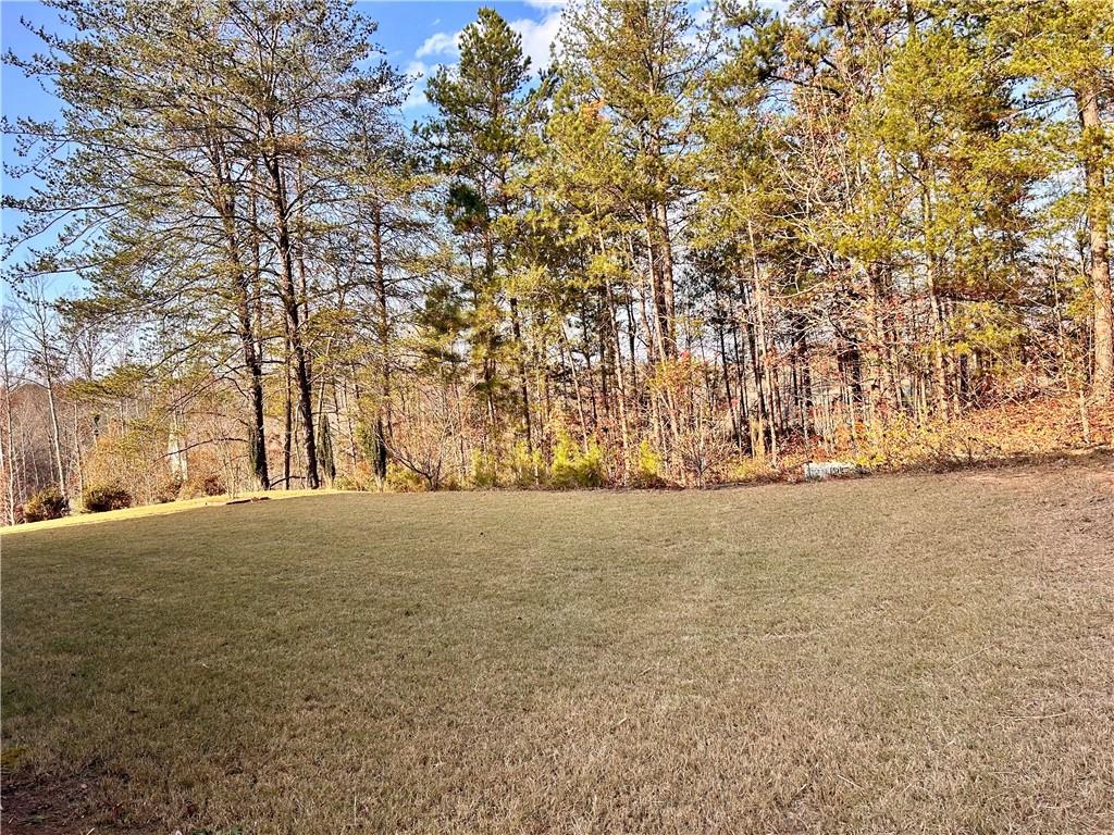 MLS #7684505 image #31