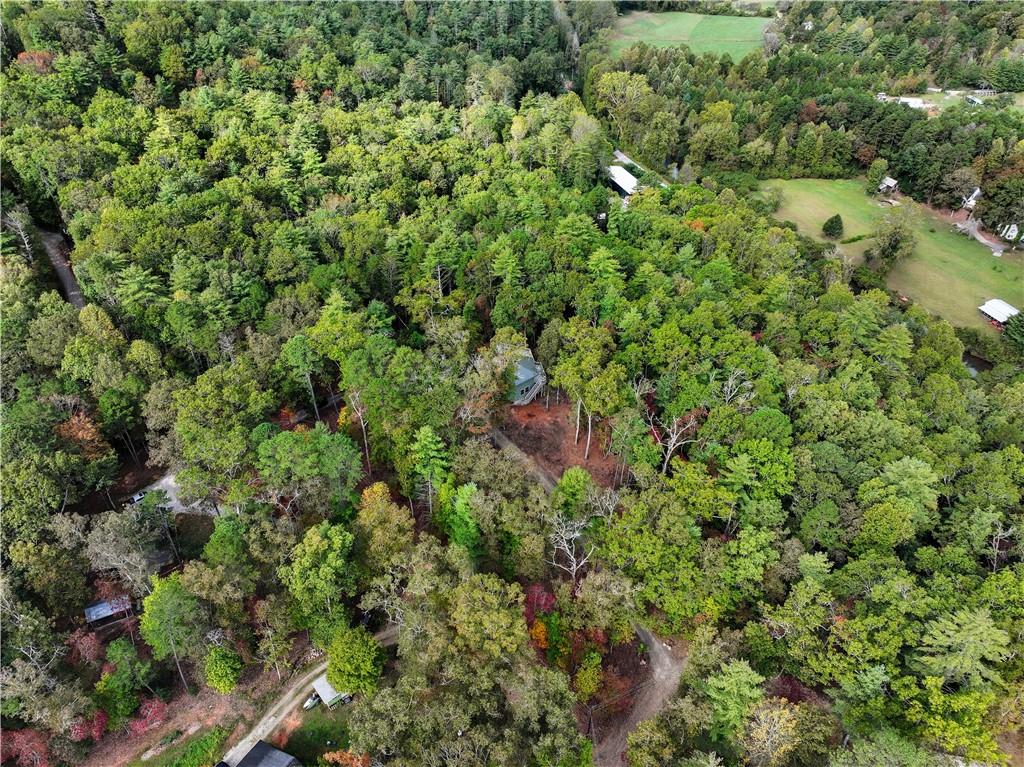 MLS #7687982 image #40