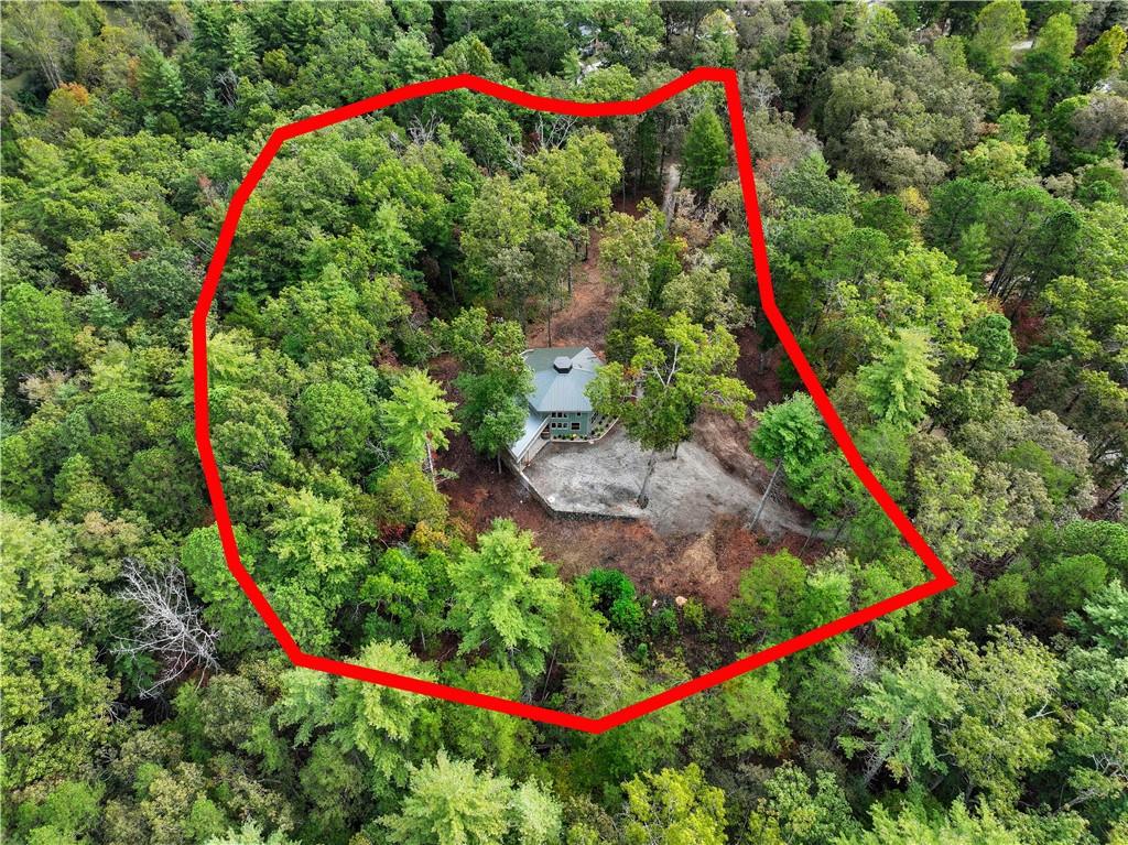 MLS #7687982 image #43