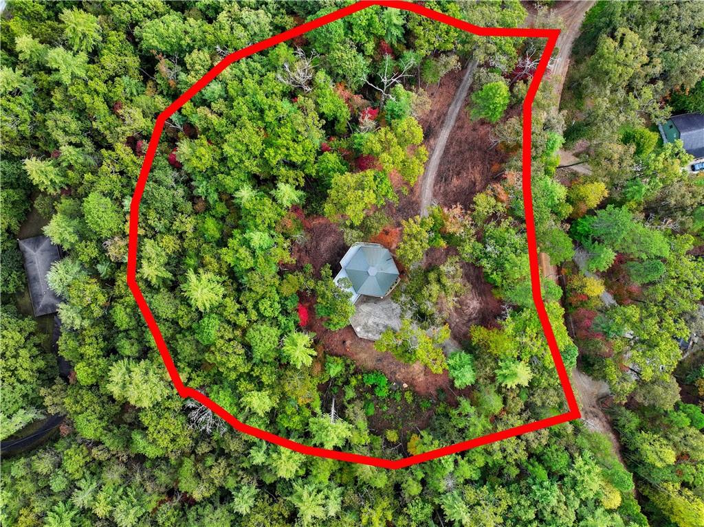 MLS #7687982 image #44