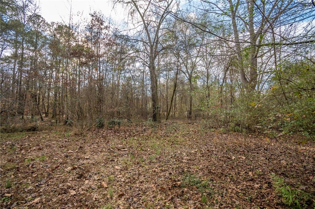 MLS #7688740 image #46