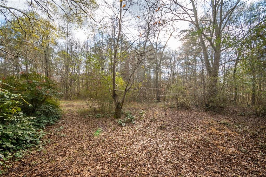 MLS #7688740 image #47