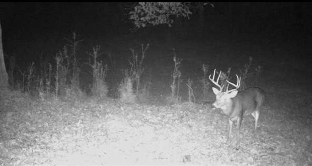 MLS #7689192 image #56