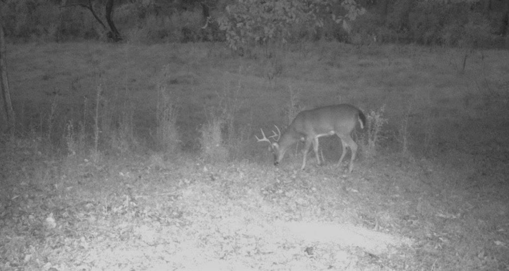 MLS #7689192 image #57