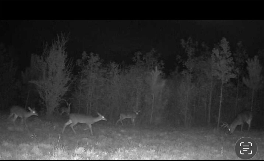 MLS #7689192 image #58