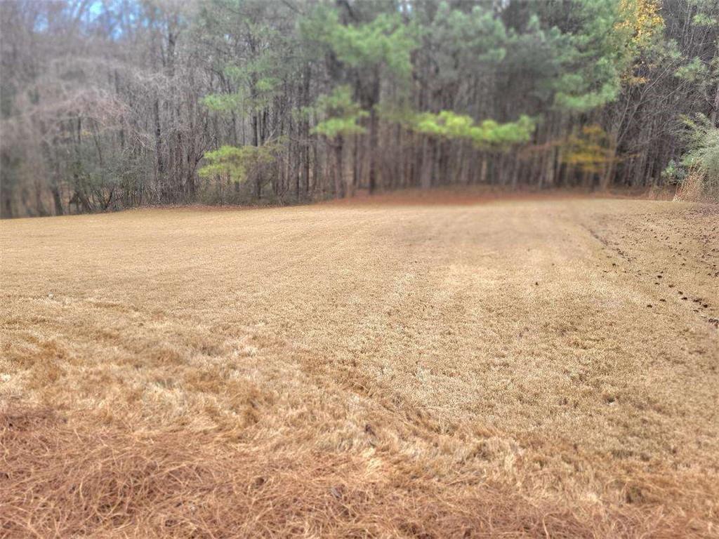 MLS #7708845 image #33