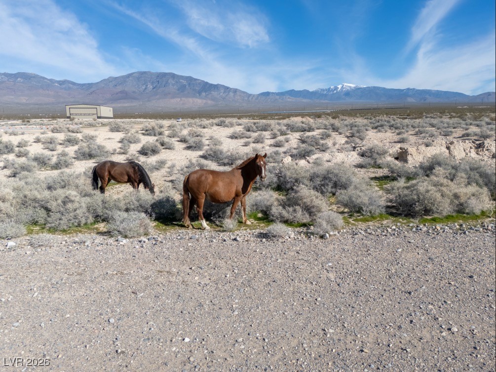 MLS #2751991 image #6