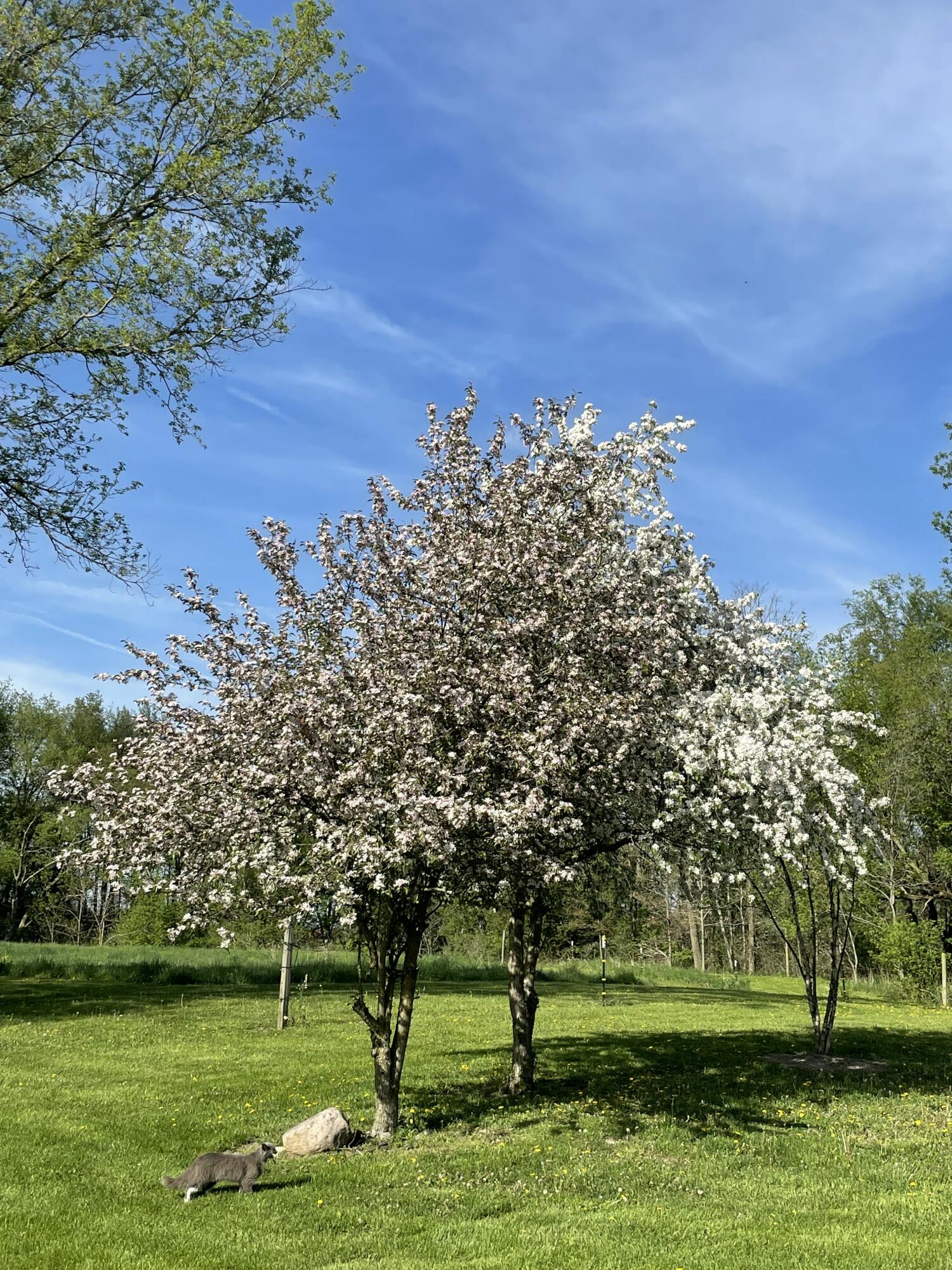 MLS #26009051 img 51