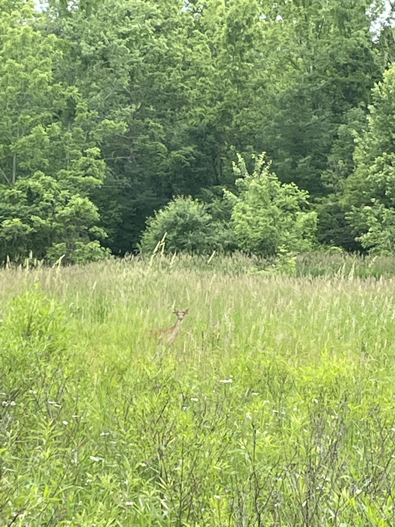 MLS #26009051 img 53