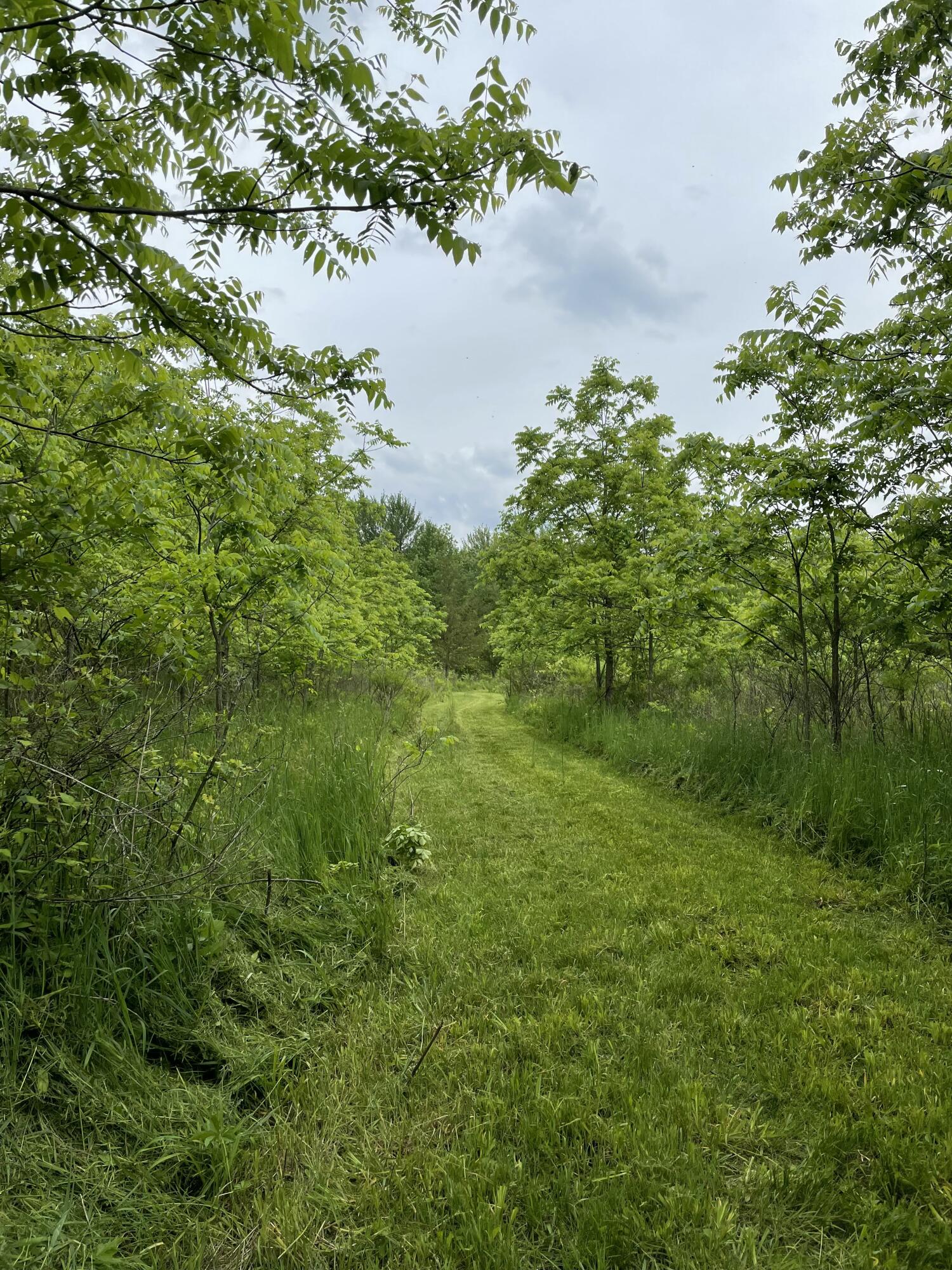 MLS #26009051 img 54