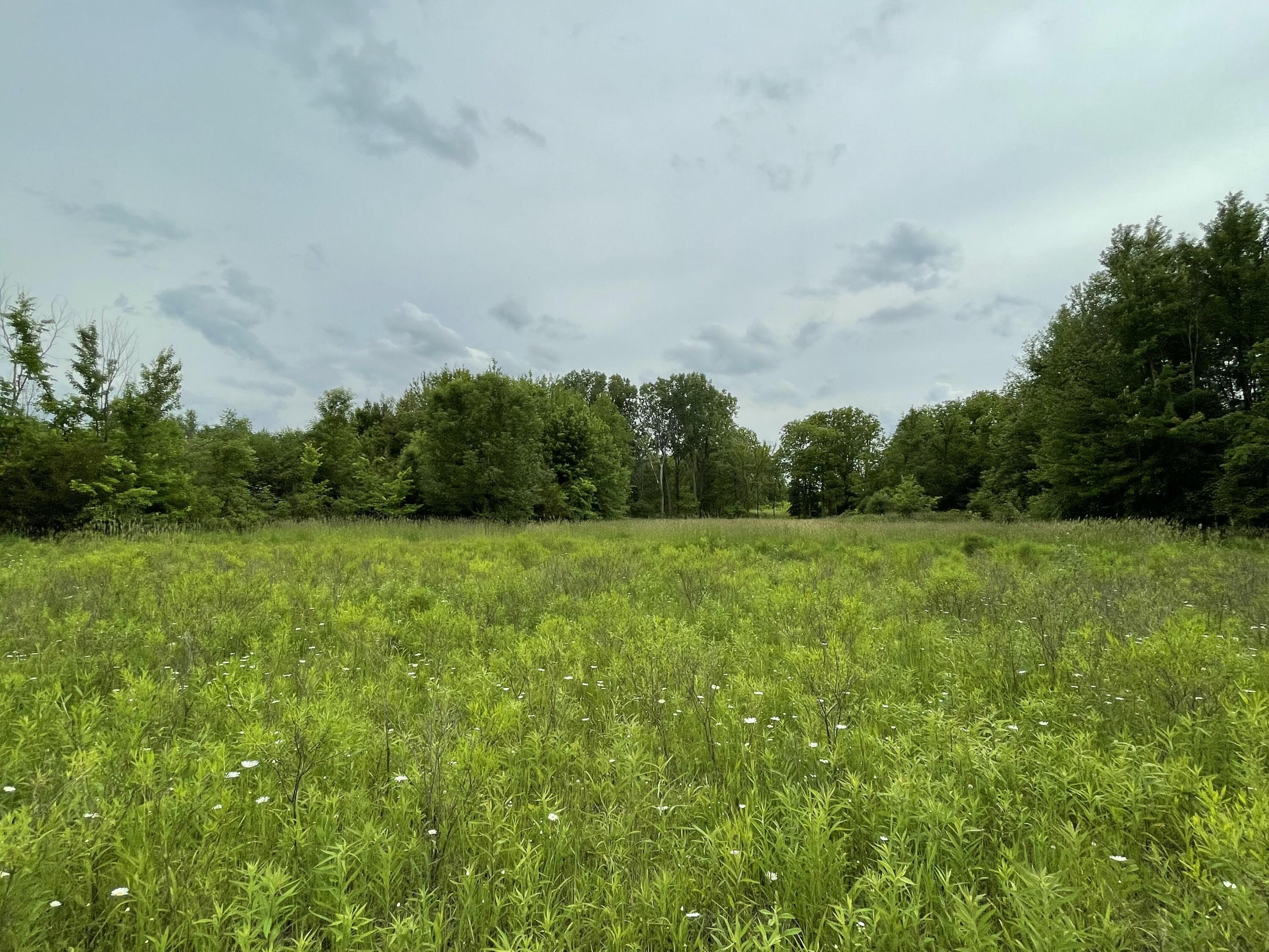 MLS #26009051 img 56