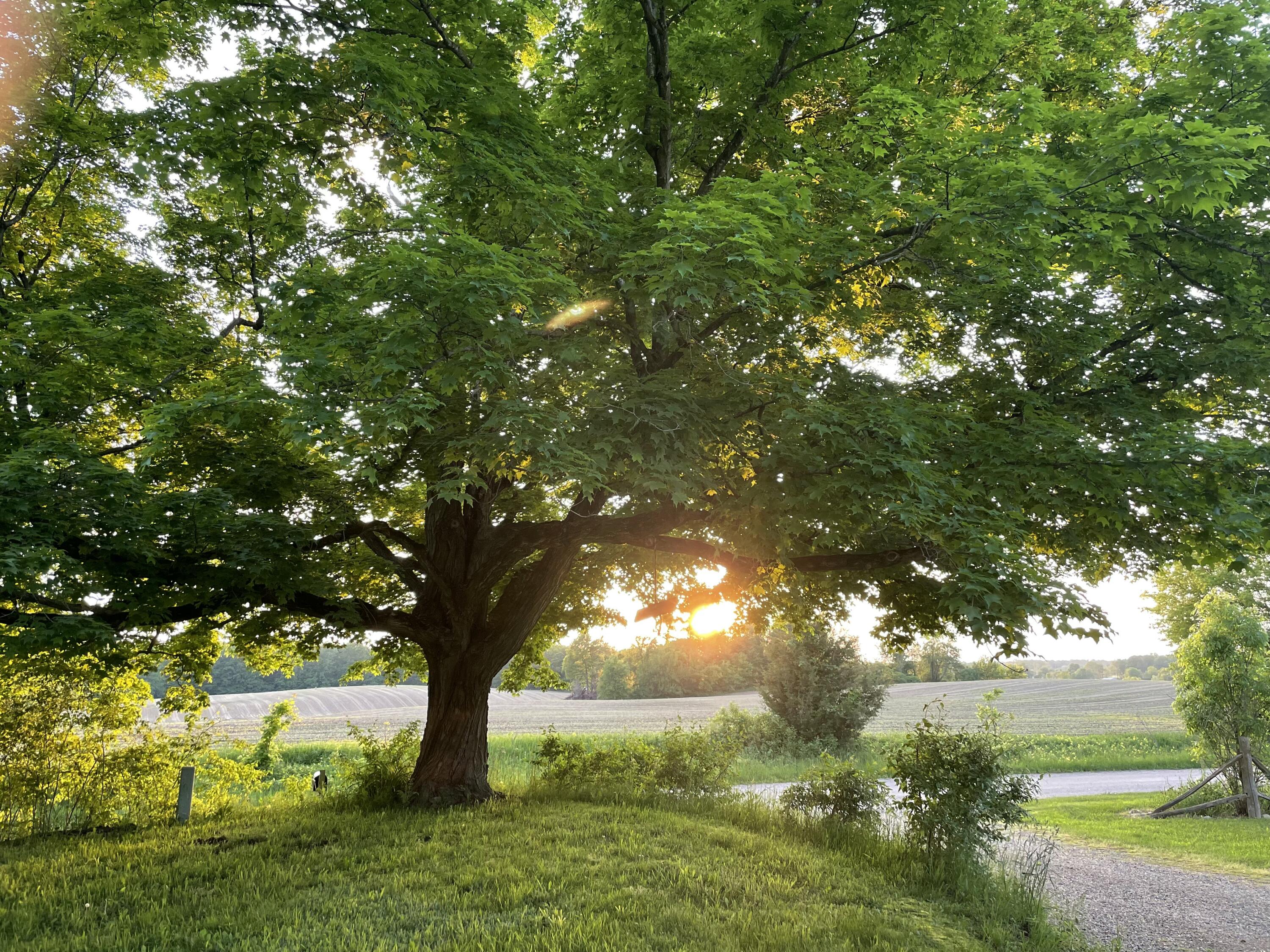 MLS #26009051 img 57