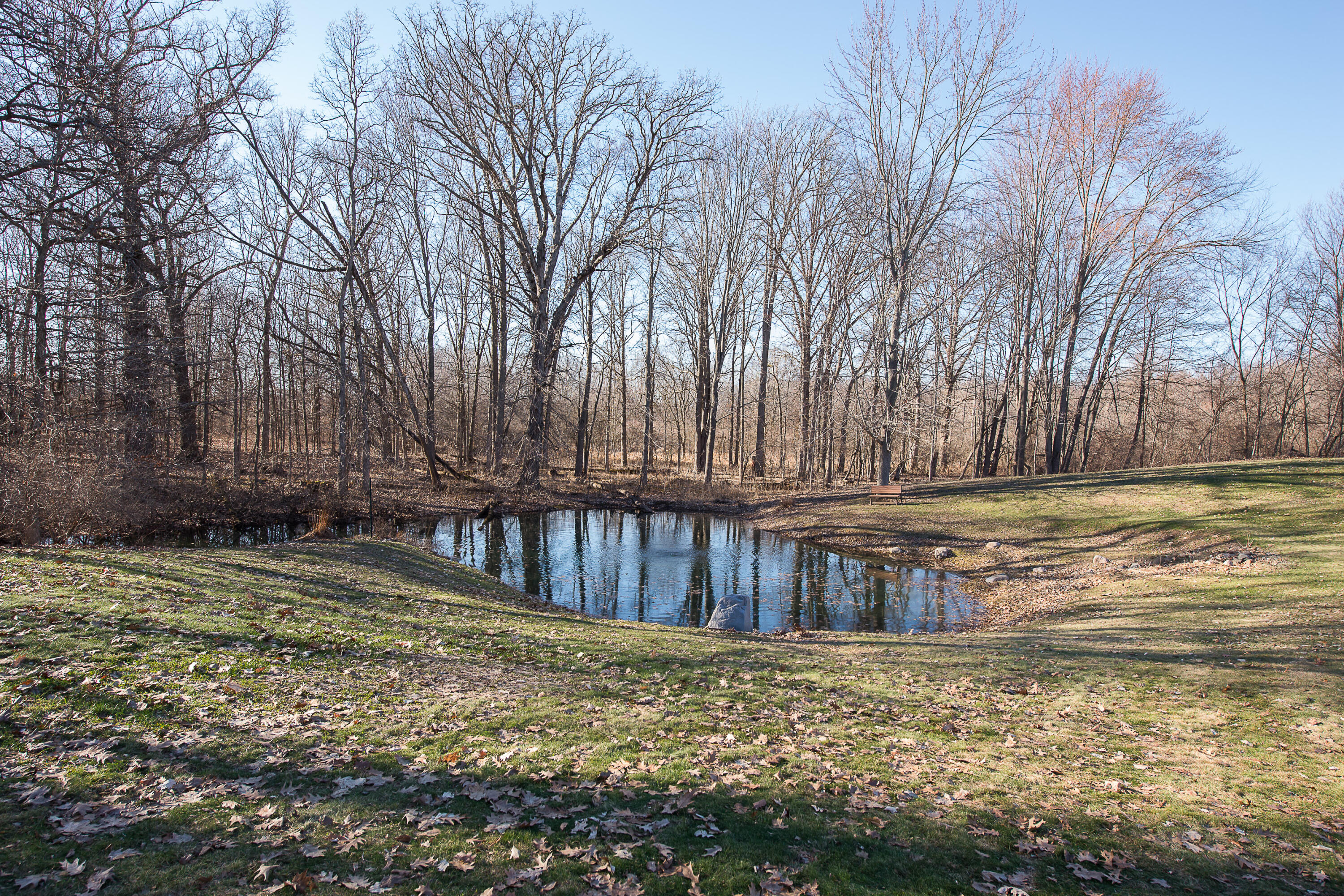 MLS #26009092 img 44