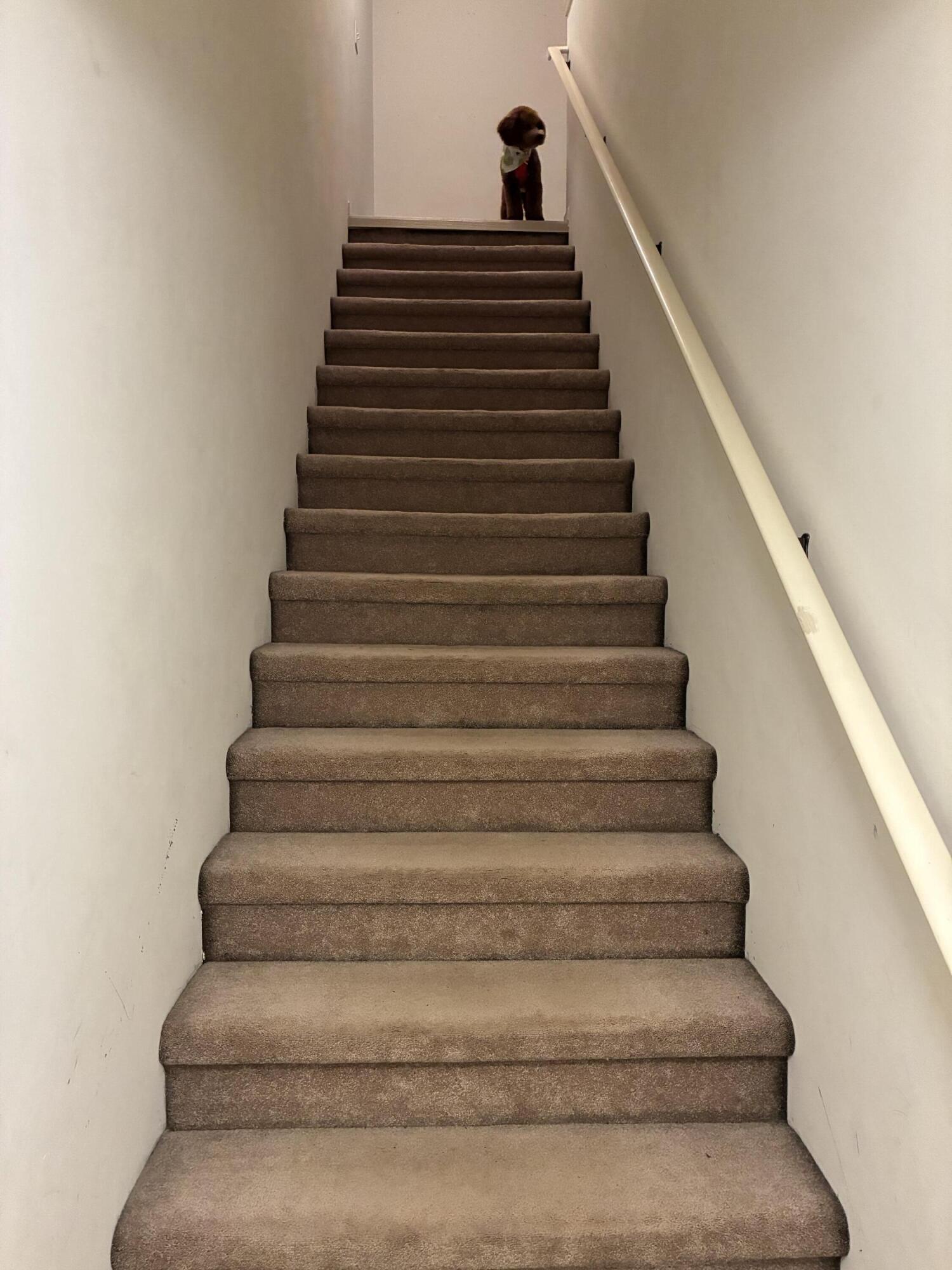 MLS #26009195 img 12