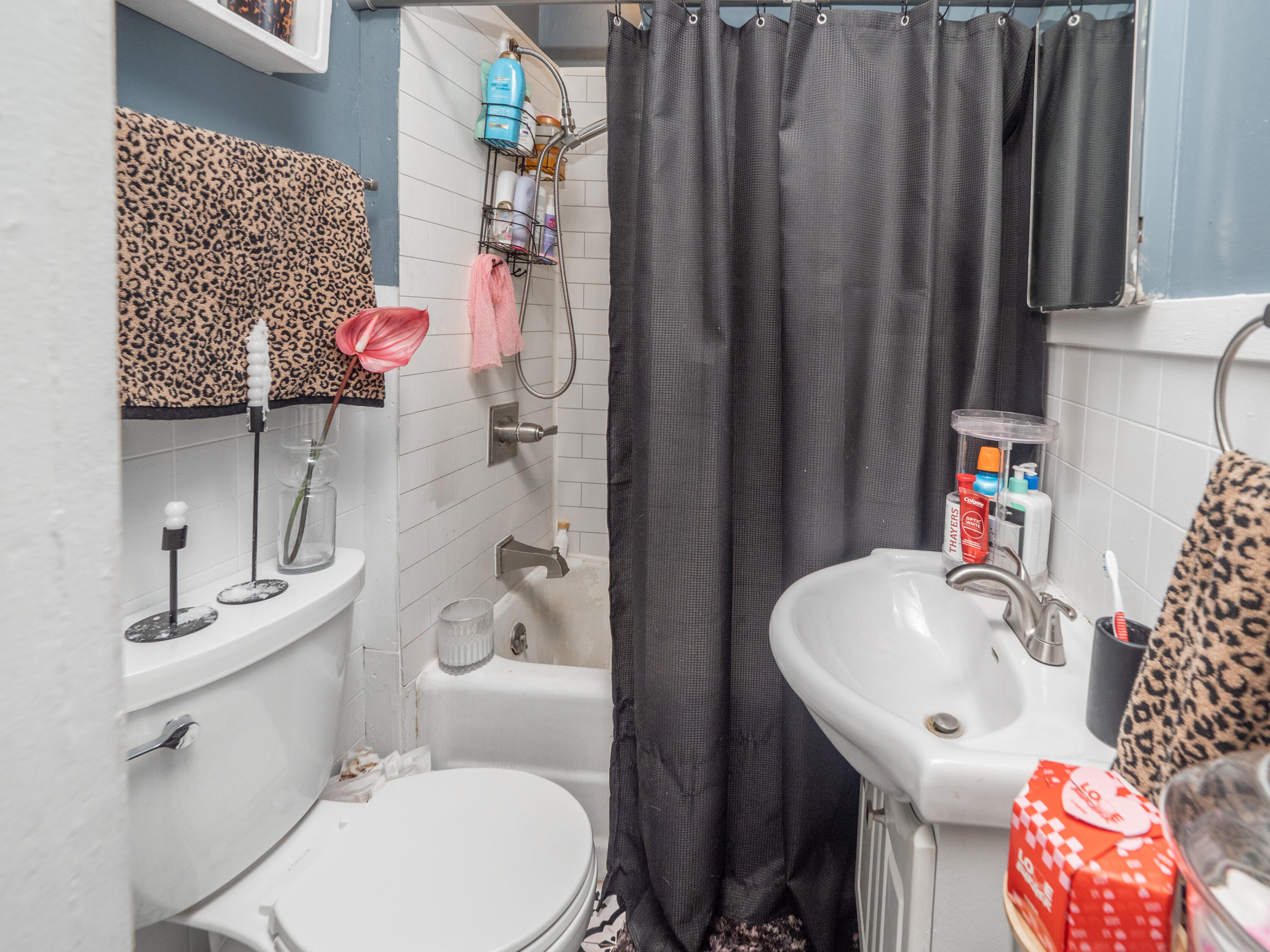 MLS #26009235 img 10