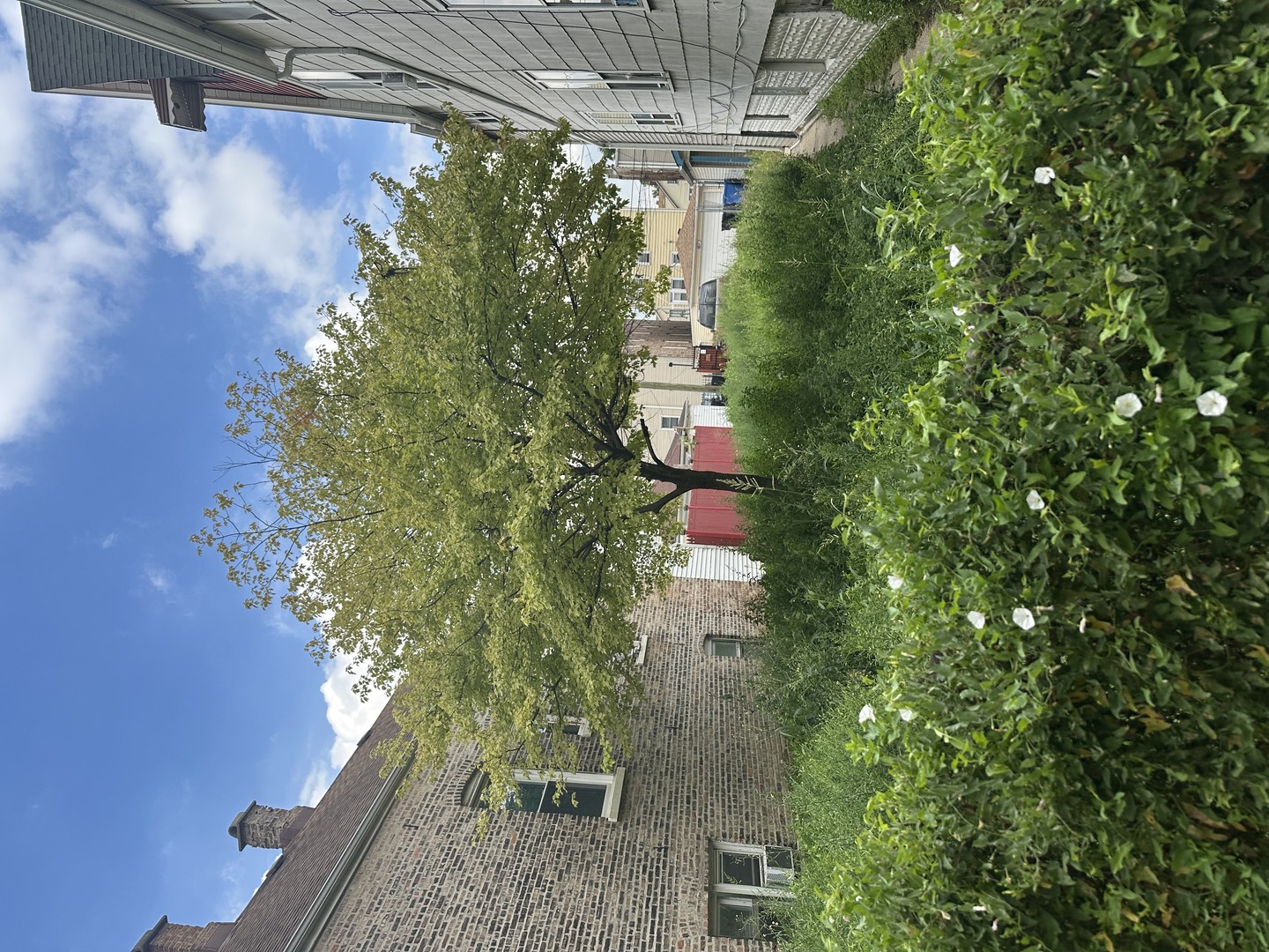 MLS #MRD12453527 img 1