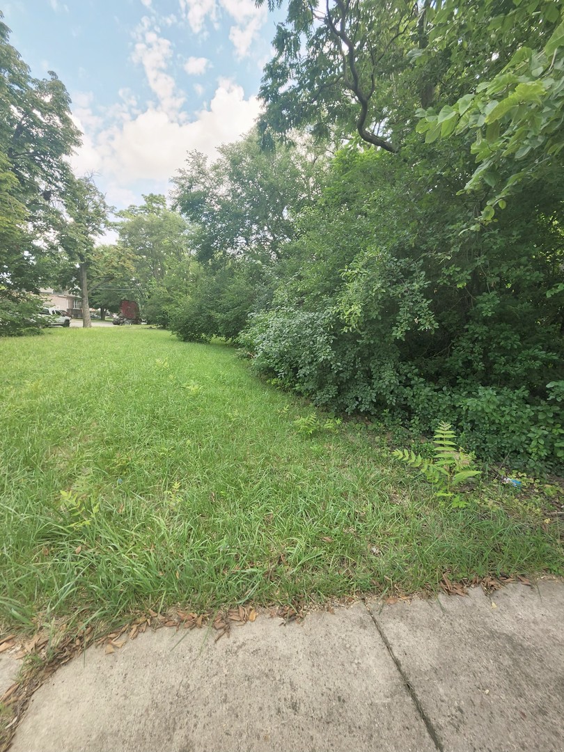 MLS #MRD12465389 image #4